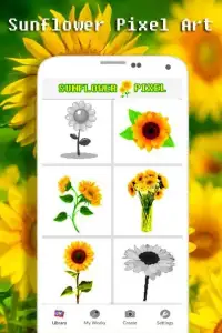 Sunflower Color By Number - Pixel Art Screen Shot 6