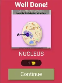 Cell And Organelle Quiz Screen Shot 10