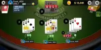 Blackjack 21 - Raise The Stakes Screen Shot 5