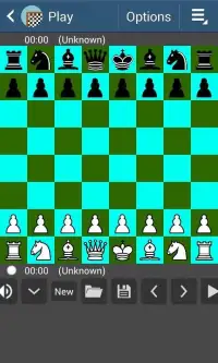 Chess Master Screen Shot 2