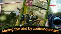 Bird Hunt - Bird Hunting and Shooting game Screen Shot 3