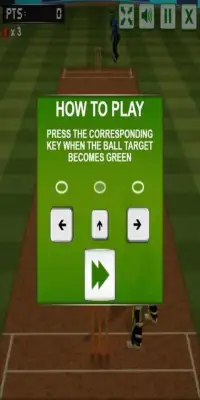 Cricket Screen Shot 1