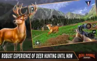 Real Animal Hunter - New Deer Hunting Games Screen Shot 7