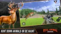 Real Animal Hunter - New Deer Hunting Games Screen Shot 10