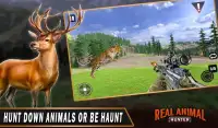 Real Animal Hunter - New Deer Hunting Games Screen Shot 2