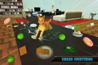 Cat Simulator Family: Cute Stray Kitten Life Screen Shot 10