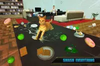 Cat Simulator Family: Cute Stray Kitten Life Screen Shot 6