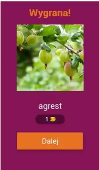 Co to za owoc lub warzywo? Screen Shot 19