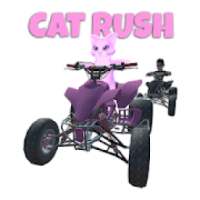 Cat Rush