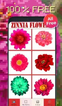 Zinnia Flowers Color By Number-Pixel Art Screen Shot 1