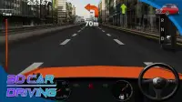 3D Car Driving Screen Shot 5