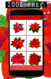 Pointsettia Flowers Color By Number-Pixel Art Screen Shot 4