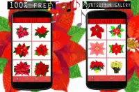 Pointsettia Flowers Color By Number-Pixel Art Screen Shot 0
