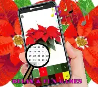 Pointsettia Flowers Color By Number-Pixel Art Screen Shot 1