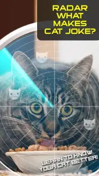 Radar What Makes Cat Joke Screen Shot 0