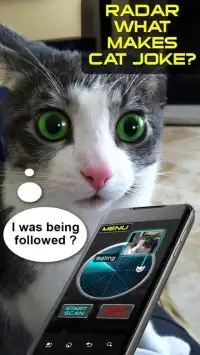 Radar What Makes Cat Joke Screen Shot 2