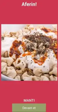 Bu Hangi Türk Yemeği ? Screen Shot 1