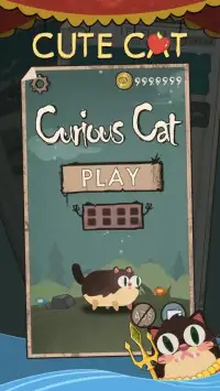 Curious Cat Screen Shot 9