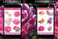 Peony Flowers Color By Number-Pixel Art Screen Shot 0