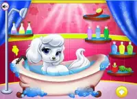 Princess Clean Pets Game Screen Shot 2