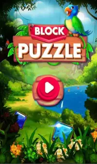 Block Puzzle Game Screen Shot 7