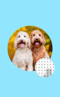 Dog Photography Color By Number Pixel Art Screen Shot 2