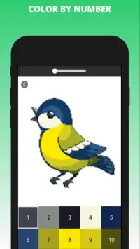 Birds Pixel Art - Birds Color by Number Screen Shot 2