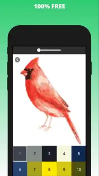 Birds Pixel Art - Birds Color by Number Screen Shot 0