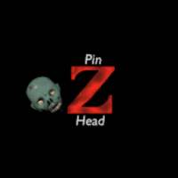 Pin Z Head