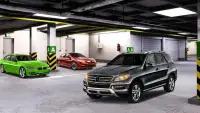 Multistory Car Crazy Parking 3D Screen Shot 3