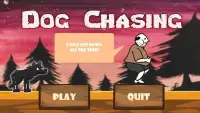 Dog Chasing Screen Shot 3