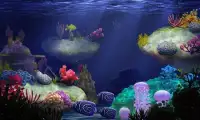 My 3D Fish(3D Aquarium) Screen Shot 2