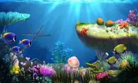 My 3D Fish(3D Aquarium) Screen Shot 0