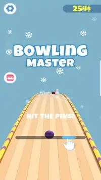 Bowling Master: Crazy Balls!! Screen Shot 0