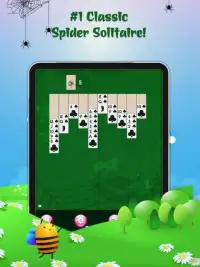 Spider - Classic Solitaire Screen Shot 4