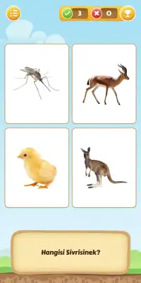 Hayvanlar Alemini Öğreniyorum Screen Shot 3