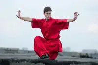 Learn Kung Fu Training 2019 Screen Shot 7