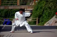 Learn Kung Fu Training 2019 Screen Shot 3