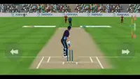 iB Cricket Companion Screen Shot 1