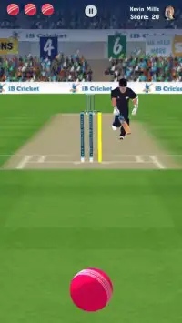 iB Cricket Companion Screen Shot 2