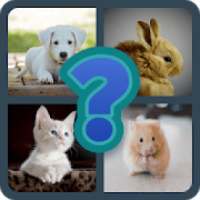 Guess The Animal !