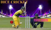 Cricket Dice Screen Shot 8
