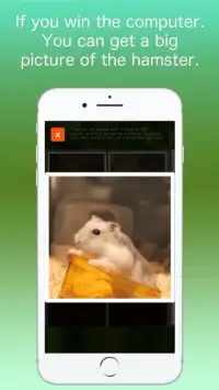 Hamster Memory Game Screen Shot 0