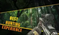 Animal Hunter Sniper 3D Screen Shot 4