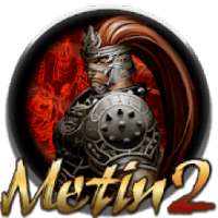 Metin2 Mobile Game