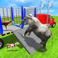 Farm Animal Transporting Truck Driver