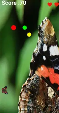 Red Butterfly Screen Shot 3