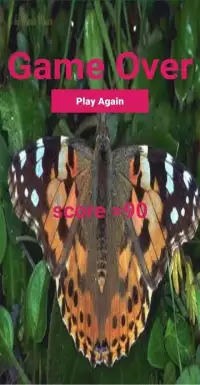 Lady Butterfly Screen Shot 0