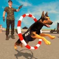 US Army Spy Dog Training