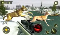 Howling Wolf:Wild animal hunter sniper 3D Screen Shot 3